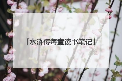 水浒传每章读书笔记