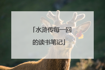 水浒传每一回的读书笔记