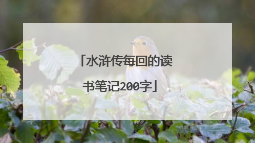 水浒传每回的读书笔记200字