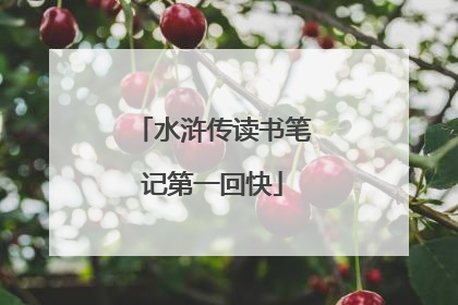 水浒传读书笔记第一回快