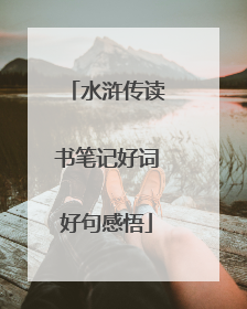 水浒传读书笔记好词好句感悟