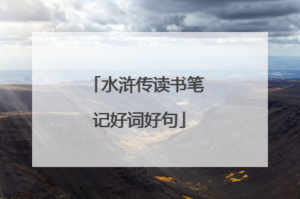 水浒传读书笔记好词好句