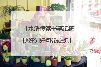 水浒传读书笔记摘抄好词好句带感想