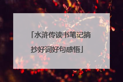 水浒传读书笔记摘抄好词好句感悟