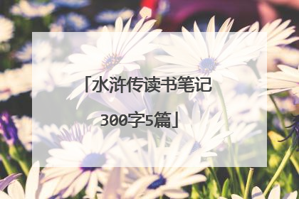 水浒传读书笔记300字5篇