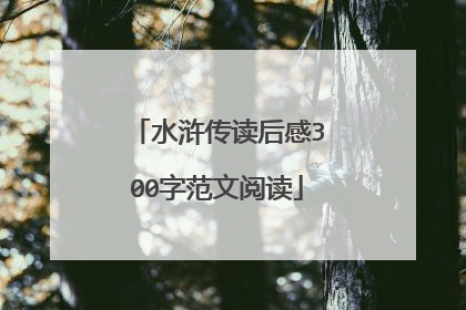 水浒传读后感300字范文阅读
