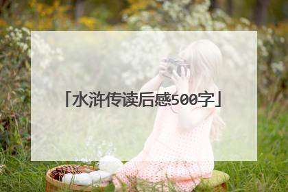 水浒传读后感500字