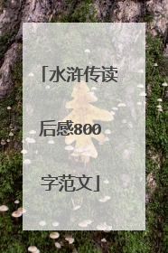水浒传读后感800字范文
