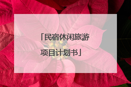 民宿休闲旅游项目计划书