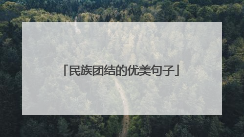 民族团结的优美句子