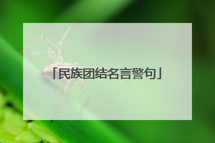 民族团结名言警句