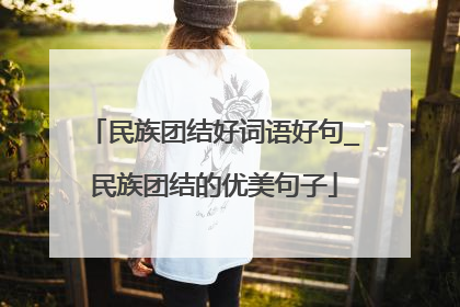 民族团结好词语好句_民族团结的优美句子