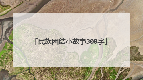 民族团结小故事300字