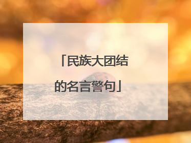 民族大团结的名言警句