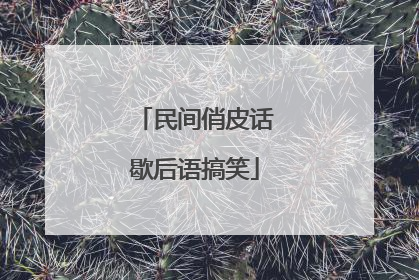 民间俏皮话歇后语搞笑