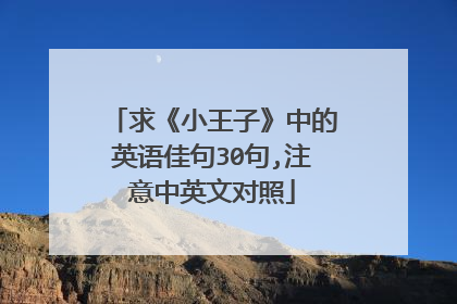 求《小王子》中的英语佳句30句,注意中英文对照