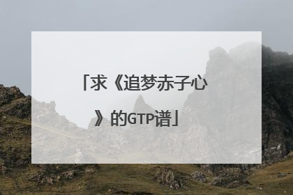 求《追梦赤子心》的GTP谱
