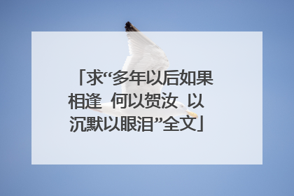 求“多年以后如果相逢 何以贺汝 以沉默以眼泪”全文