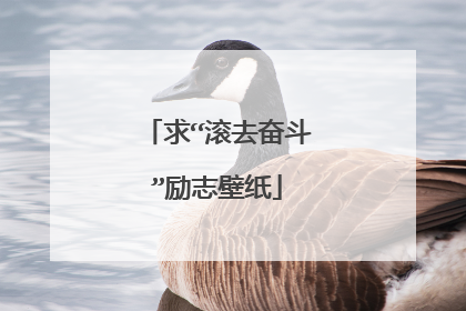 求“滚去奋斗”励志壁纸