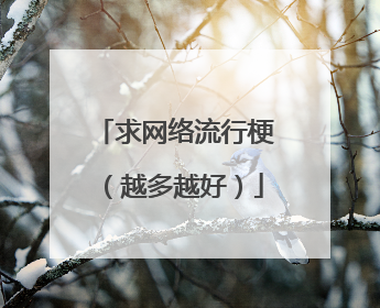 求网络流行梗(越多越好)