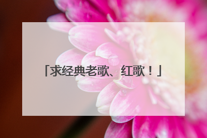 求经典老歌、红歌！