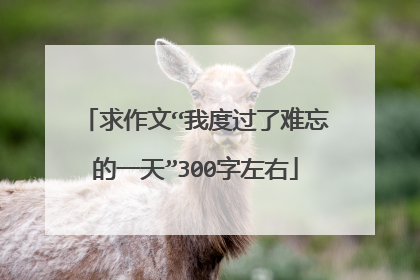 求作文“我度过了难忘的一天”300字左右
