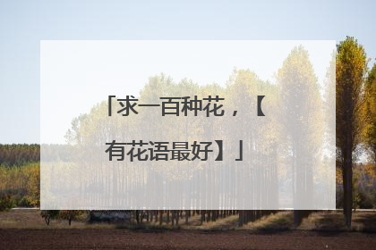求一百种花，【有花语最好】