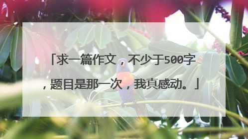 求一篇作文,不少于500字,题目是那一次,我真感动。