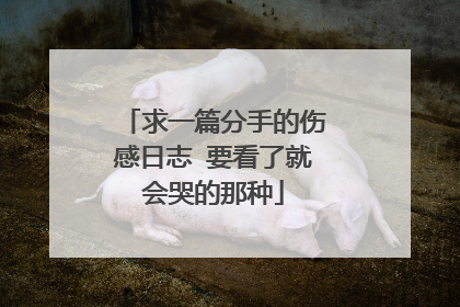 求一篇分手的伤感日志 要看了就会哭的那种