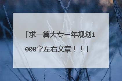 求一篇大专三年规划1000字左右文章!!