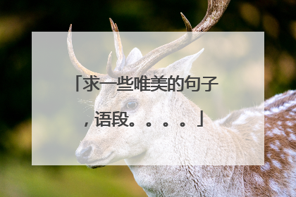 求一些唯美的句子,语段。。。。