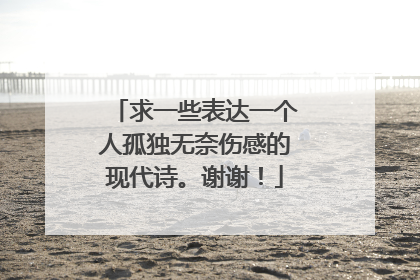 求一些表达一个人孤独无奈伤感的现代诗。谢谢！