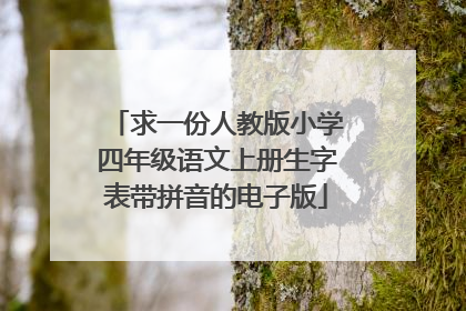 求一份人教版小学四年级语文上册生字表带拼音的电子版