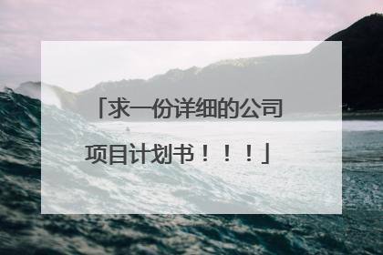 求一份详细的公司项目计划书！！！