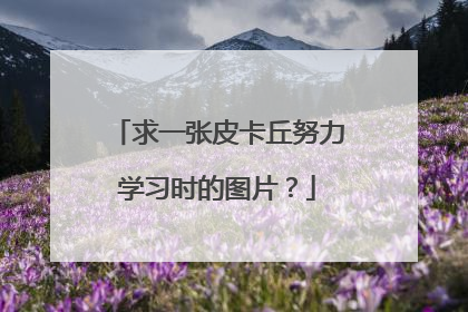 求一张皮卡丘努力学习时的图片？