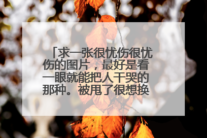 求一张很忧伤很忧伤的图片，最好是看一眼就能把人干哭的那种。被甩了很想换头像，求！求！！