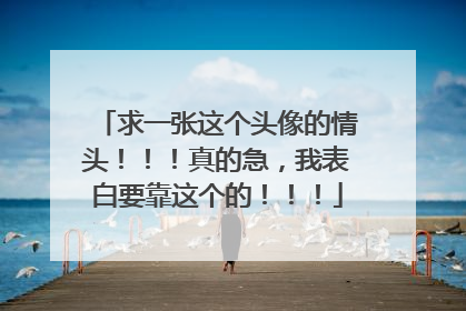 求一张这个头像的情头！！！真的急，我表白要靠这个的！！！