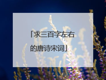 求三百字左右的唐诗宋词