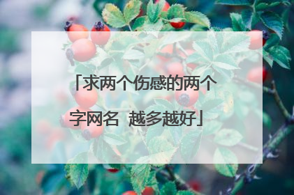 求两个伤感的两个字网名 越多越好
