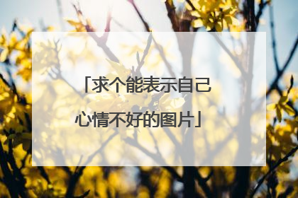 求个能表示自己心情不好的图片