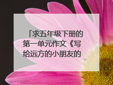 求五年级下册的第一单元作文《写给远方的小朋友的一封信》