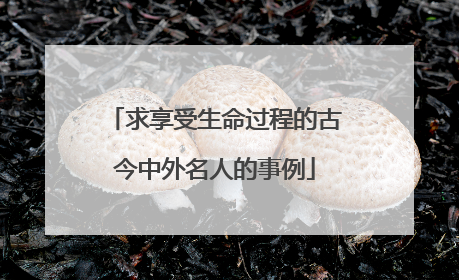 求享受生命过程的古今中外名人的事例