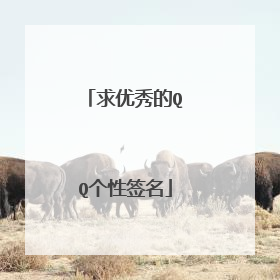 求优秀的QQ个性签名
