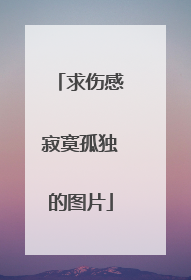 求伤感寂寞孤独的图片
