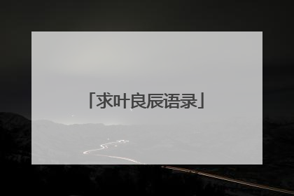 求叶良辰语录