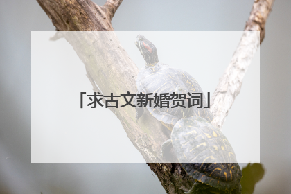 求古文新婚贺词