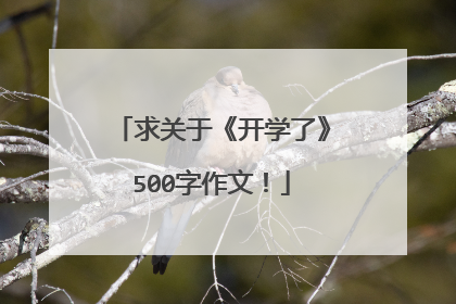 求关于《开学了》500字作文!