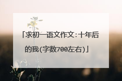 求初一语文作文:十年后的我(字数700左右)