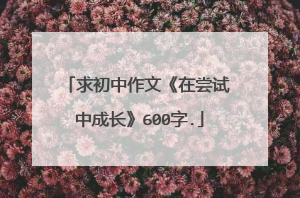 求初中作文《在尝试中成长》600字.