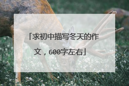 求初中描写冬天的作文,600字左右